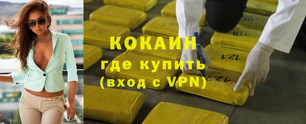 прущие грибы Наволоки