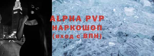 прущие грибы Наволоки