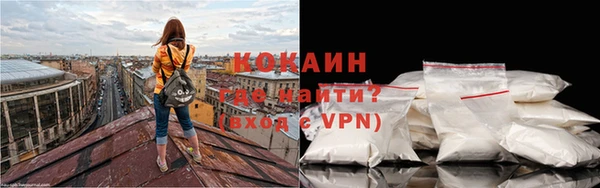 прущие грибы Наволоки