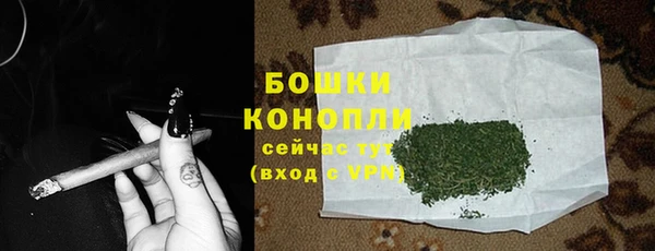 прущие грибы Наволоки