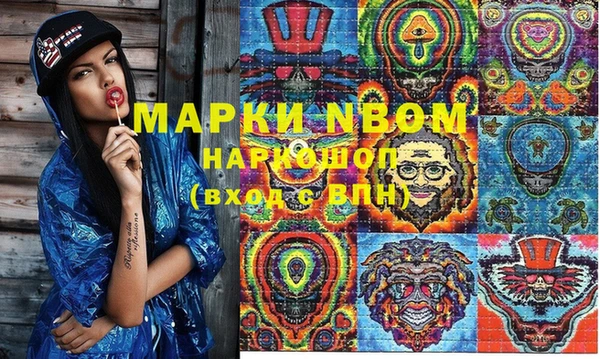 стафф Надым