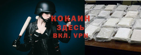 прущие грибы Наволоки
