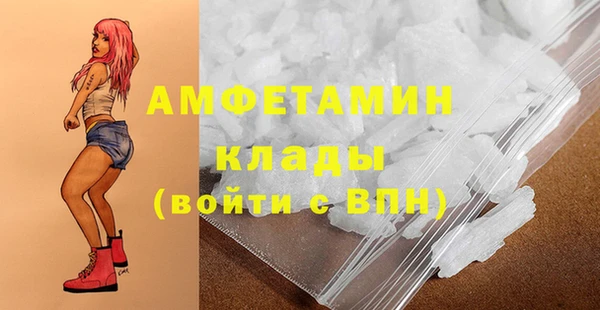 прущие грибы Наволоки