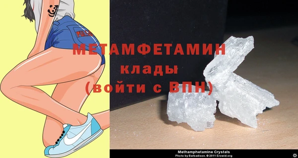 прущие грибы Наволоки